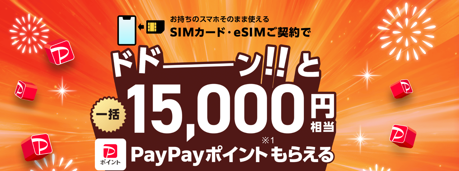ワイモバイル「SIMご契約特典（ヤフー店限定）」