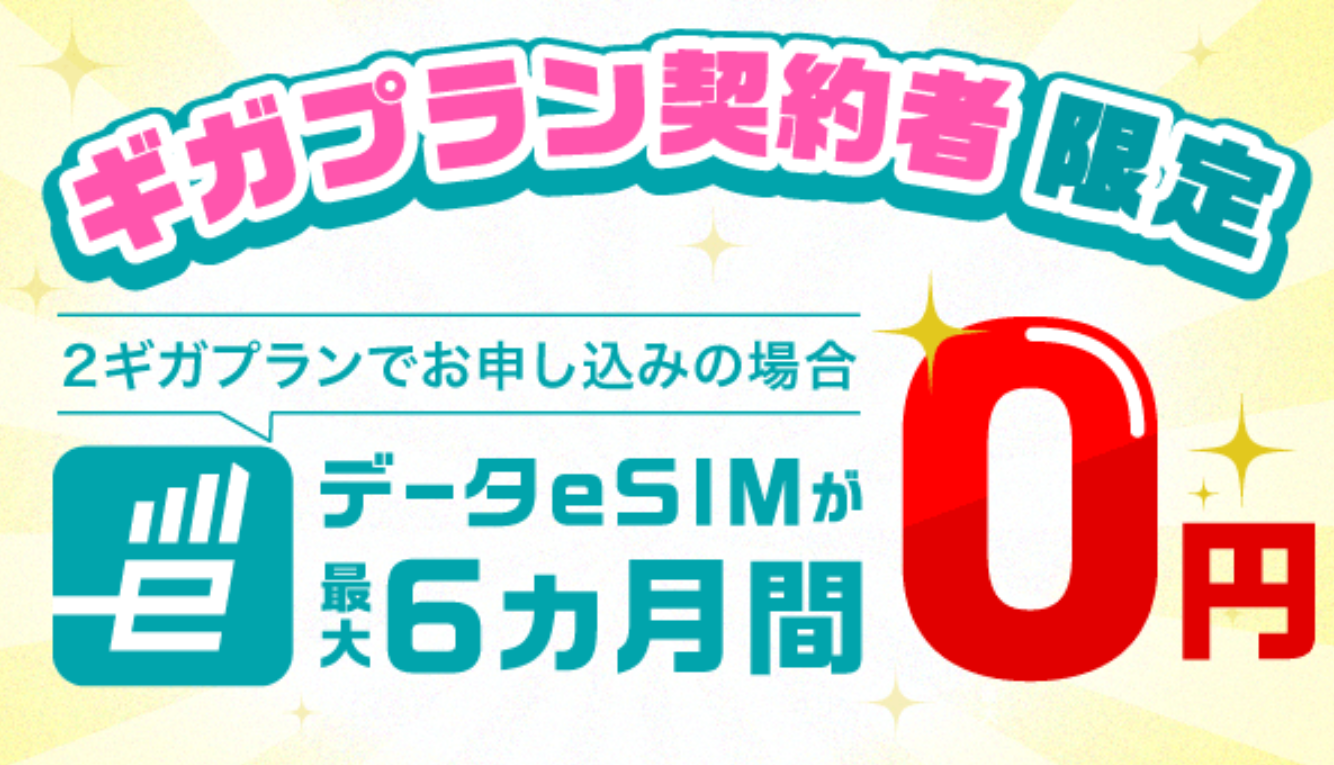 iijmio ハッピーオータムキャンペーン【データeSIMデビュー割】