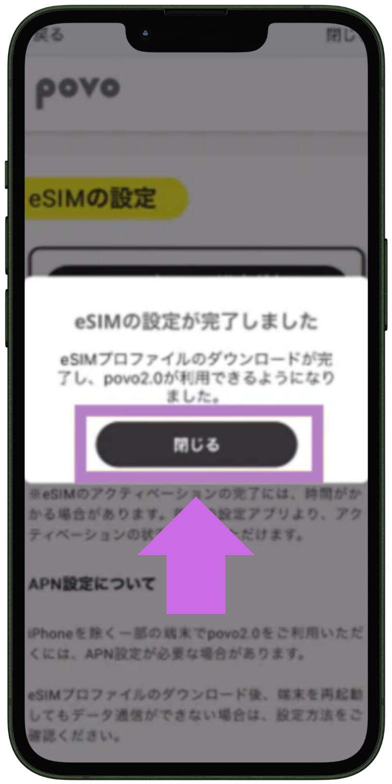 povoのeSIMの設定方法6