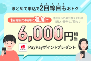 2回線まとめて申し込みでPayPayポイントプレゼントキャンペーン