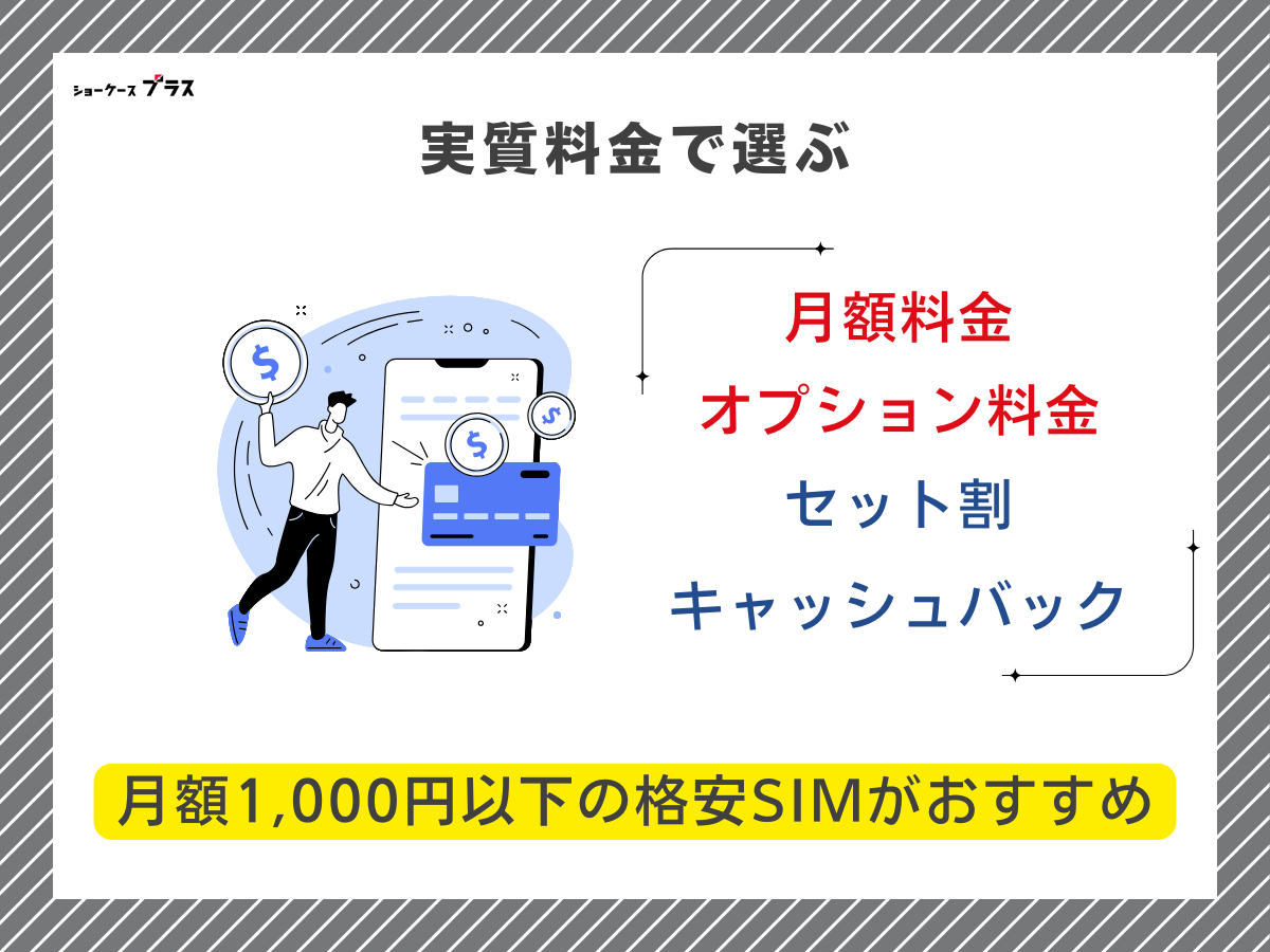 5GB・6GB使えるおすすめ格安SIMの選び方2