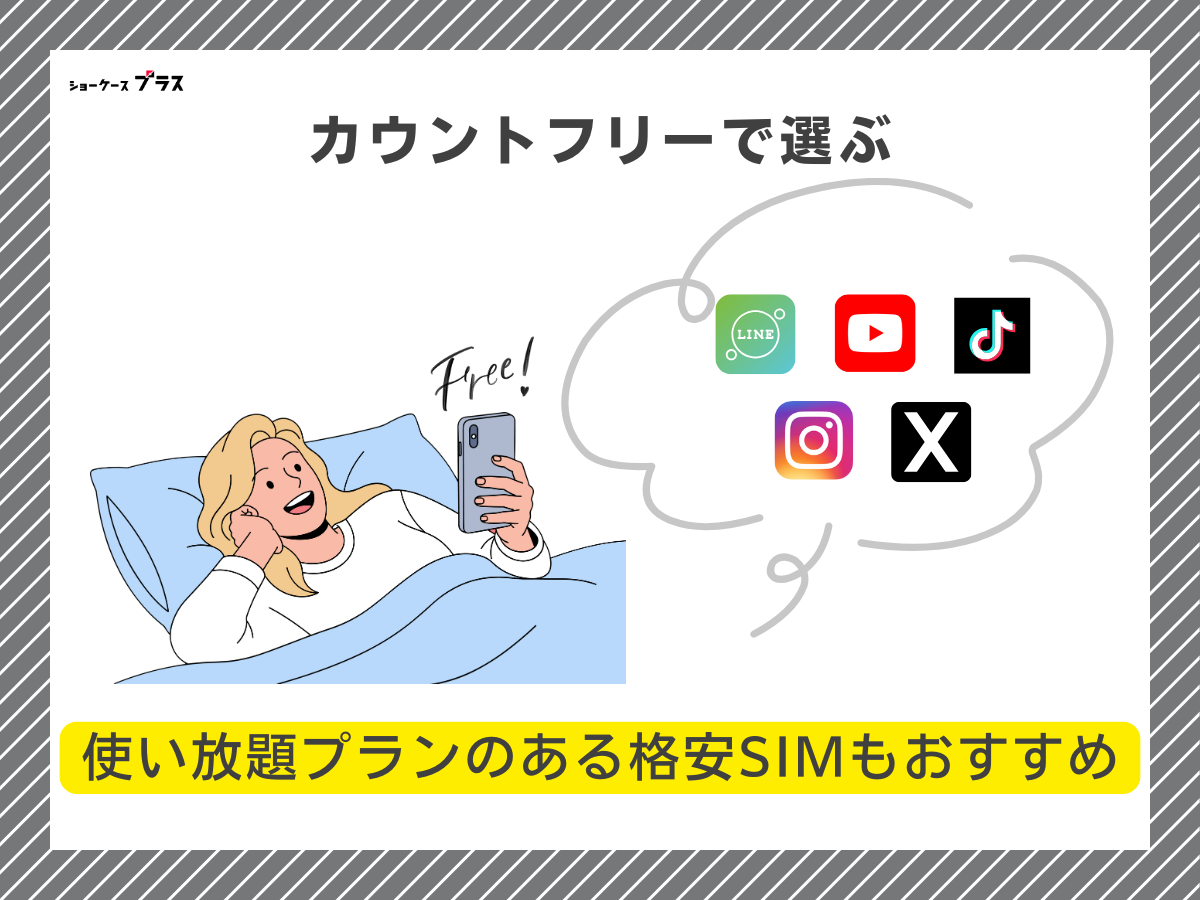 5GB・6GB使えるおすすめ格安SIMの選び方3
