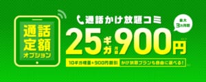 ハッピースマイルキャンペーン【通話定額オプション割引特典】