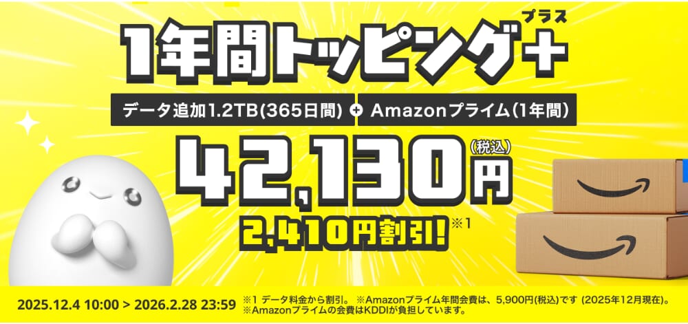 1年間トッピング+ データ追加1.2TB(365日間)+Amazonプライム(1年間)