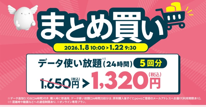 データ使い放題(7日間)24回分