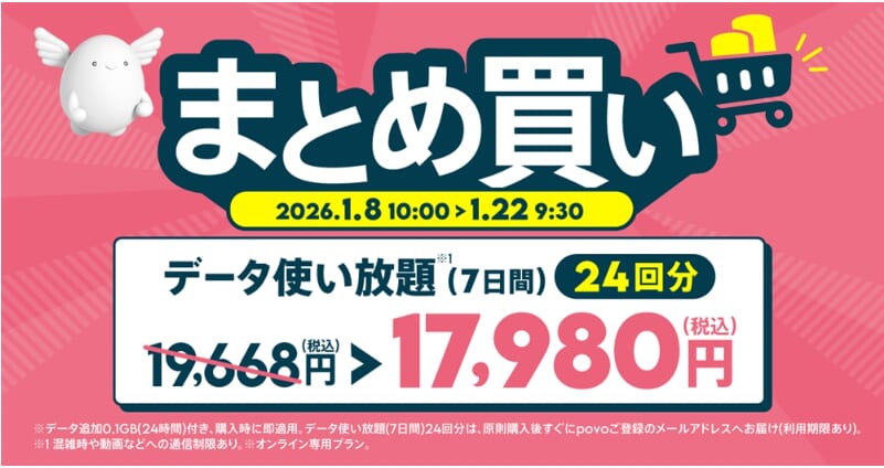 データ使い放題(7日間)24回分