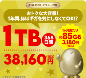 povo データ追加1TB(365日間)