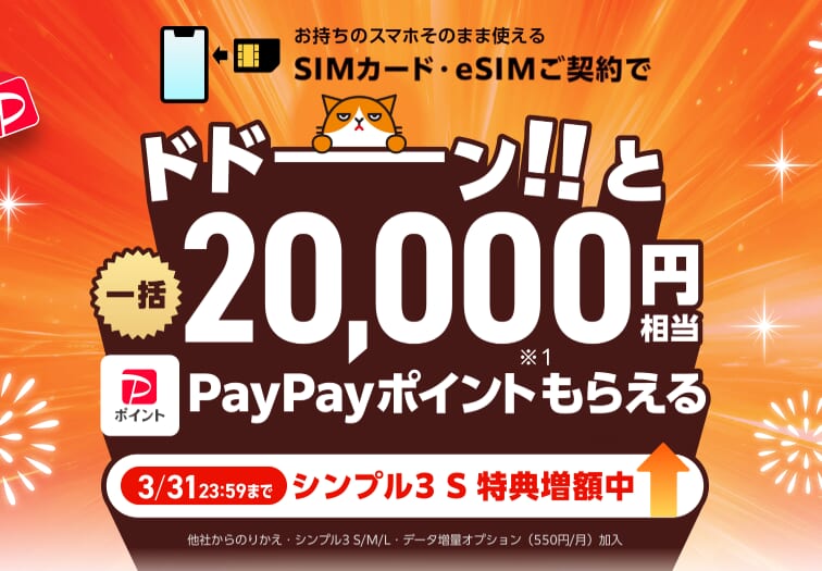 ワイモバイルオンラインストアヤフー店 SIM還元キャンペーン