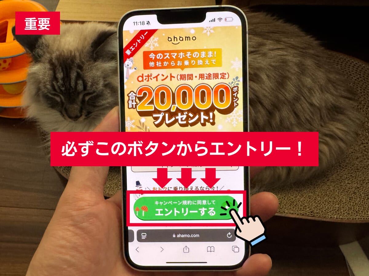 ahamoのキャンペーンの重要事項