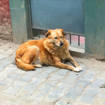 ahamo利用者のイメージ画像