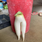 ahamo利用者のイメージ画像