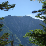 BIC SIMモバイル利用者のイメージ画像