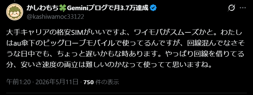 ビッグローブモバイルの評判4