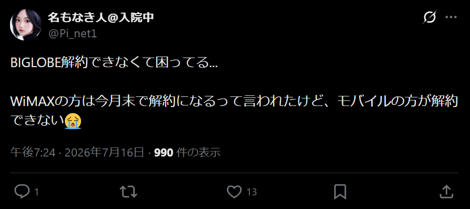 ビッグローブモバイルの評判3-1