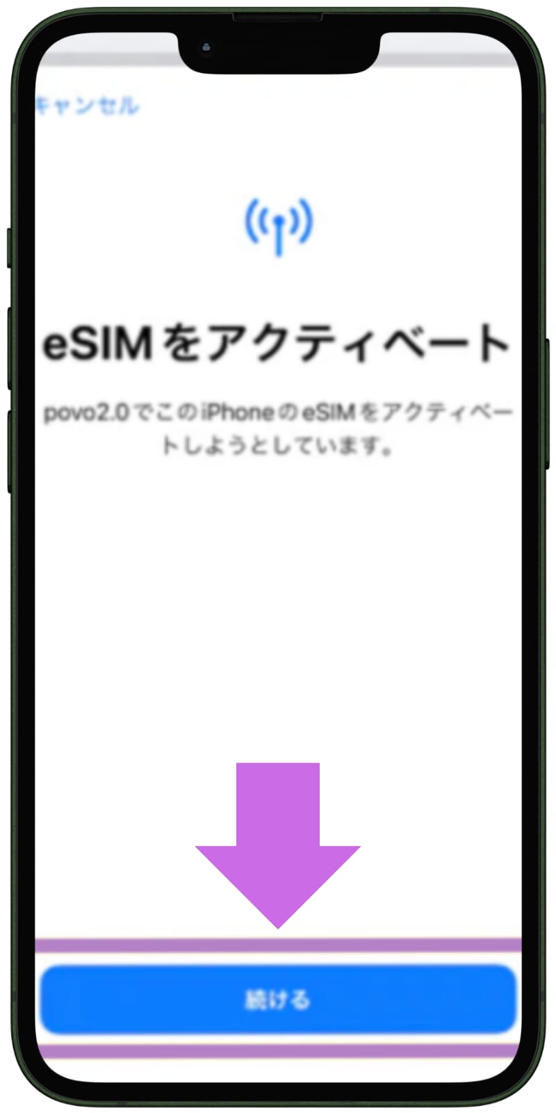 povoのeSIMの設定方法4