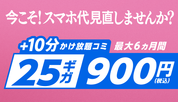 IIJmio「ハッピープライスキャンペーン+(月額料金割引特典)」