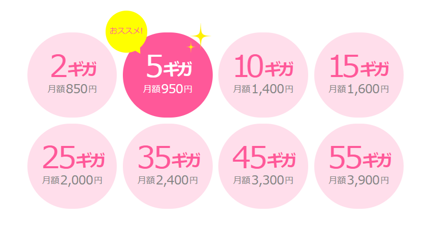 IIJmio料金表