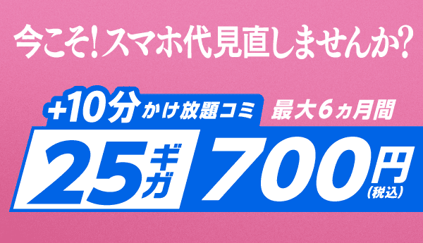 IIJmio「ハッピープライスキャンペーン（データ増量特典）」