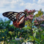 J:COMモバイル利用者のイメージ画像