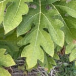 LIBMO利用者のイメージ画像