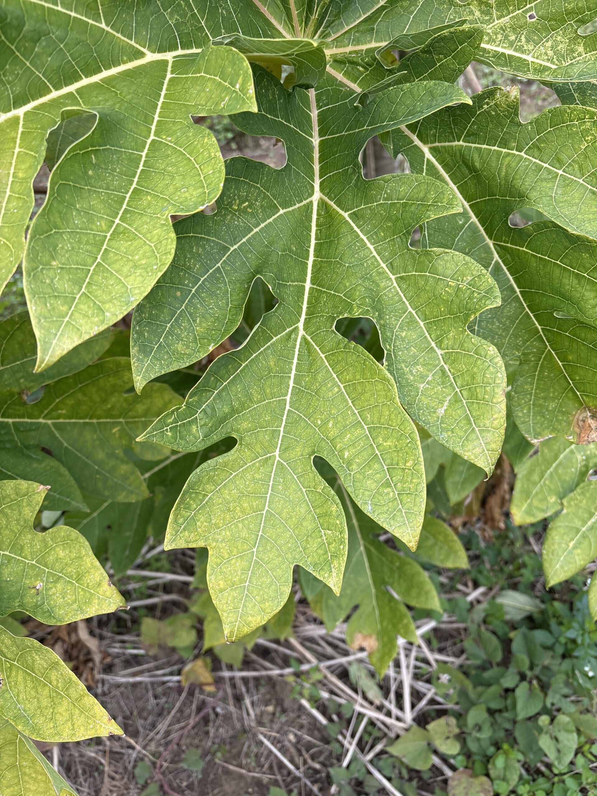 LIBMO利用者のイメージ画像