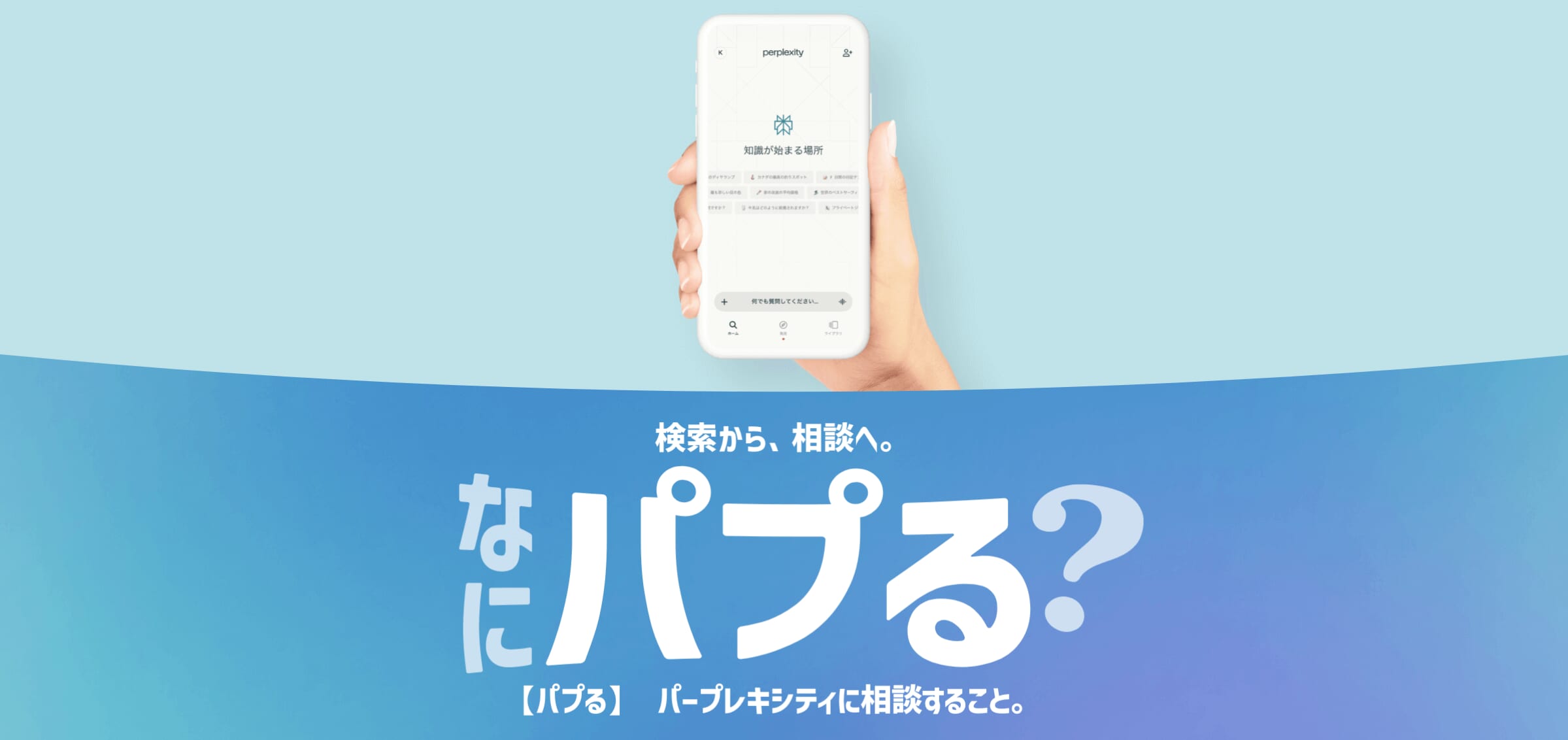 LINEMOの「Perplexity Proキャンペーン」