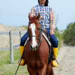 LINEMO利用者のイメージ画像