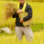 LINEMO利用者のイメージ画像