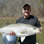 LINEMO利用者のイメージ画像