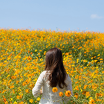 LINEMO利用者のイメージ画像