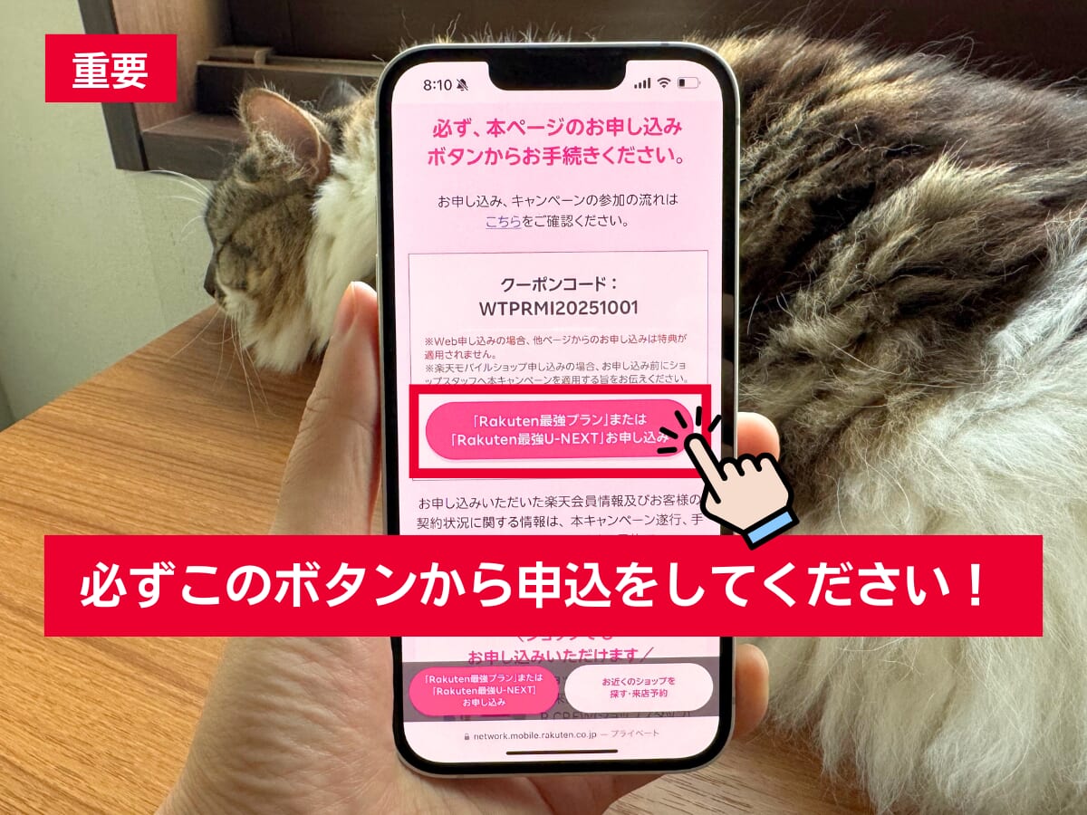 楽天モバイルの三木谷キャンペーンの申し込みボタンを解説