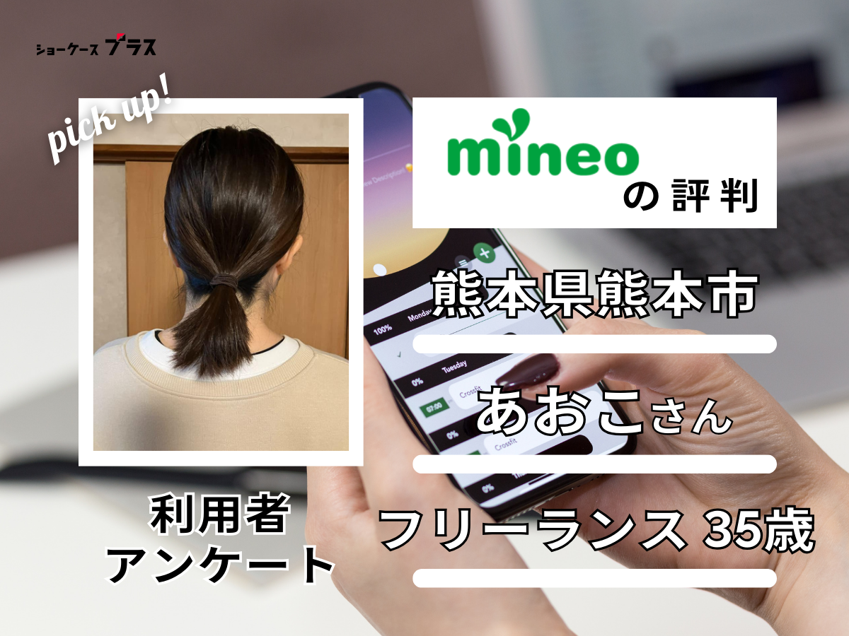 mineo利用者の評判2人目