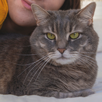 mineo利用者のイメージ画像