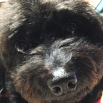 NUROモバイル利用者のイメージ画像