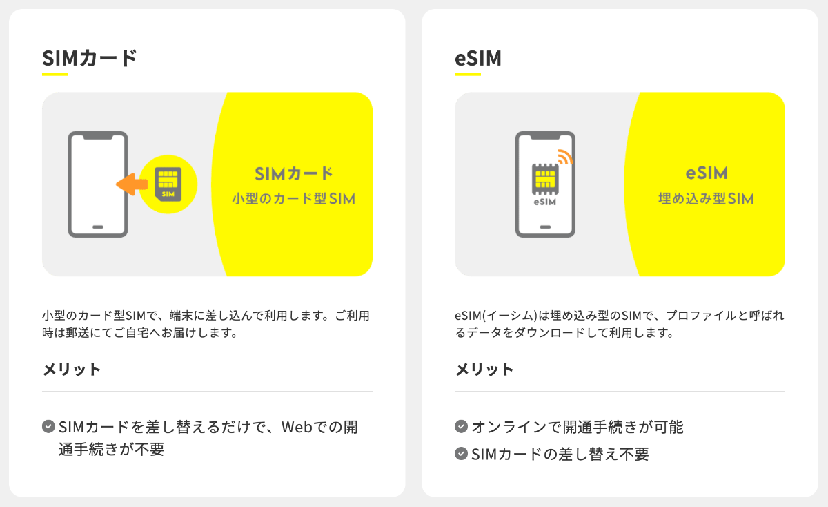 povoで選べるSIMのタイプを解説