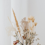 povo利用者のイメージ画像