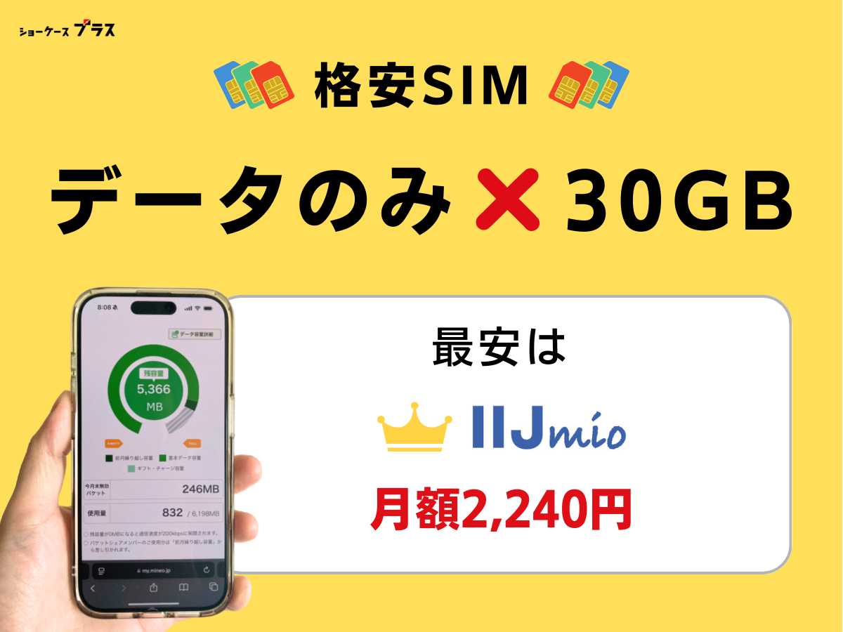 30GB使えるデータのみの格安SIMはIIJmio