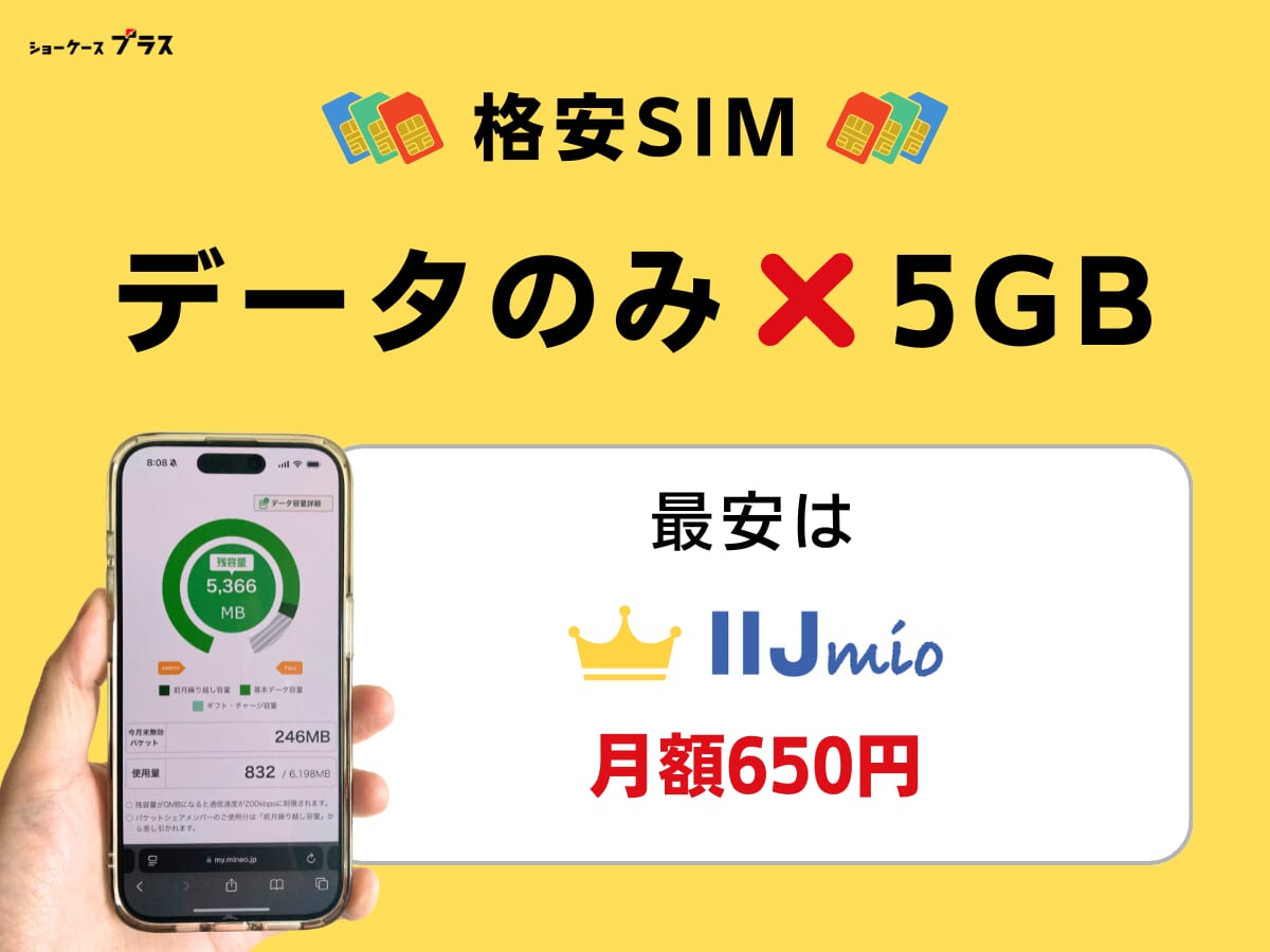 5GB使えるデータのみの格安SIMはIIJmio