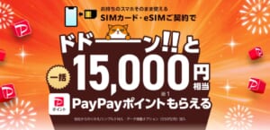 ワイモバイルオンラインストア ヤフー店 ポイント還元