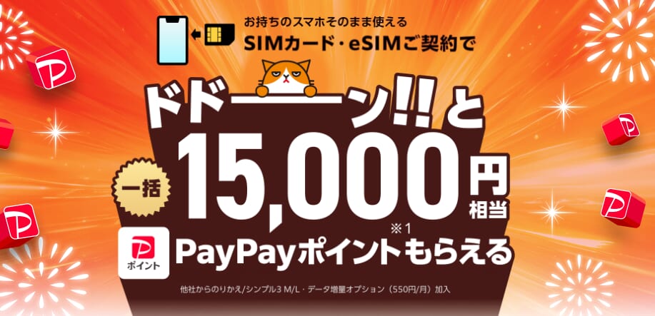 ワイモバイルオンラインストア ヤフー店 ポイント還元