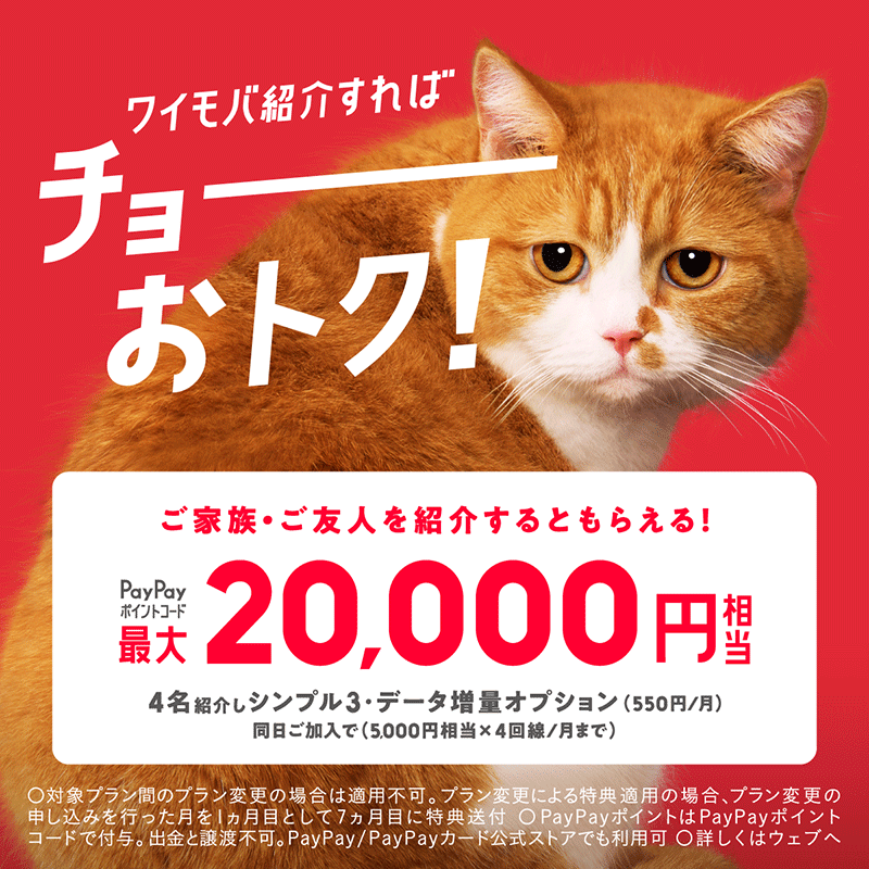 ワイモバイル紹介キャンペーン 最大20,000円相当PayPayポイントコードプレゼント