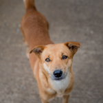 ワイモバイル利用者のイメージ画像