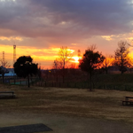 y.uモバイル利用者のイメージ画像